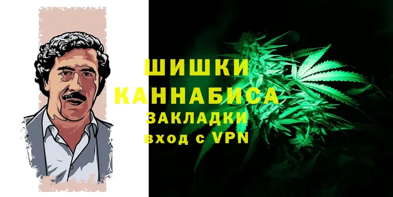 где купить наркоту  Завитинск  Канабис SATIVA & INDICA 